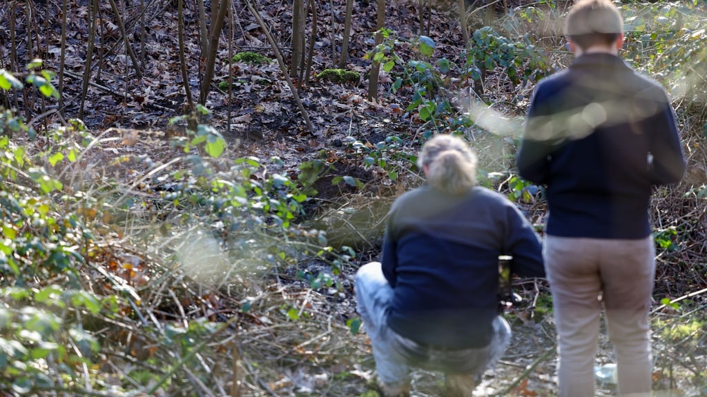 In diesem Waldstück in Duisburg wurde die Leiche einer Frau gefunden.