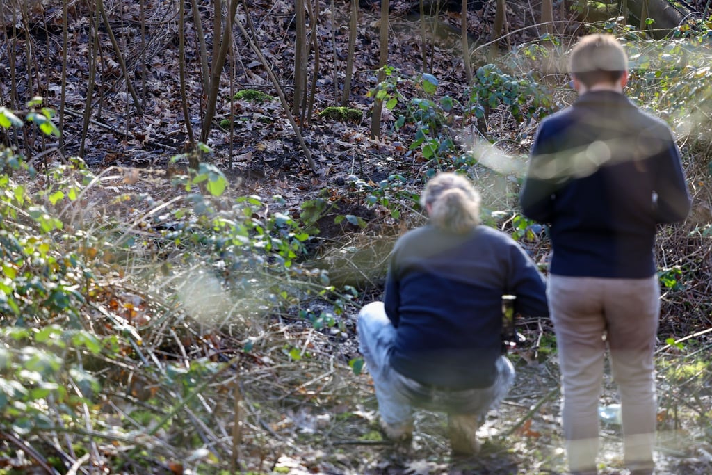 In diesem Waldstück in Duisburg wurde die Leiche einer Frau gefunden.