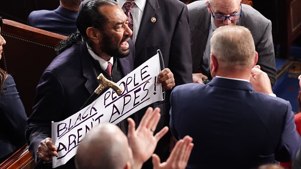 Der demokratische Abgeordnete Al Green wurde nach seiner Protestaktion aus dem Saal geführt.