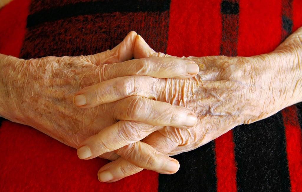 Die Gardelegener Fotofreunde mit dem Bild des Monats Februar zum Thema Alt.