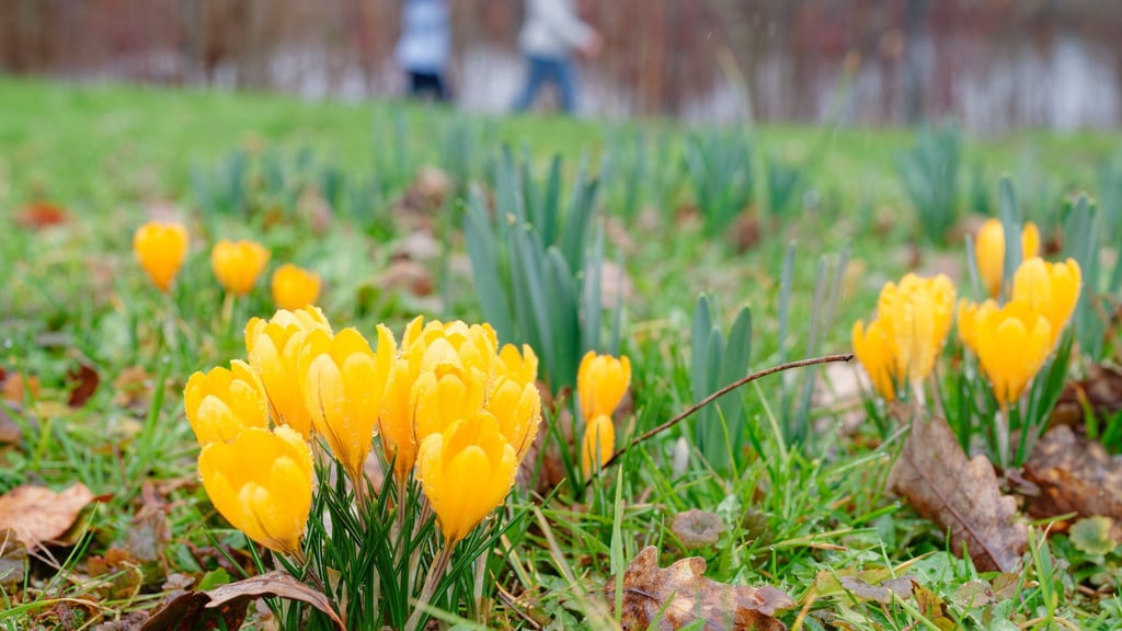 Milde Temperaturen sind für die nächsten Tage vorhergesagt.