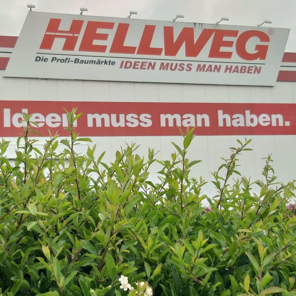 Im Hellweg-Markt in Quedlinburg ist es am Dienstagabend (24. Februar) zu einem Zwischenfall gekommen. Ein Mann randalierte.