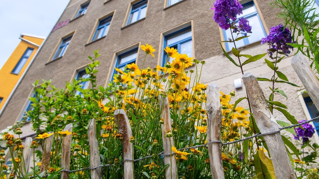 Das Magdeburger Wohnprojekt „Bunte Butze“ wurde letztes Jahr für die Sanierung eines Gründerzeithauses zum CO2-neutralen Mehrgenerationenhaus mit dem Umweltpreis Sachsen-Anhalt ausgezeichnet (Archivbild)