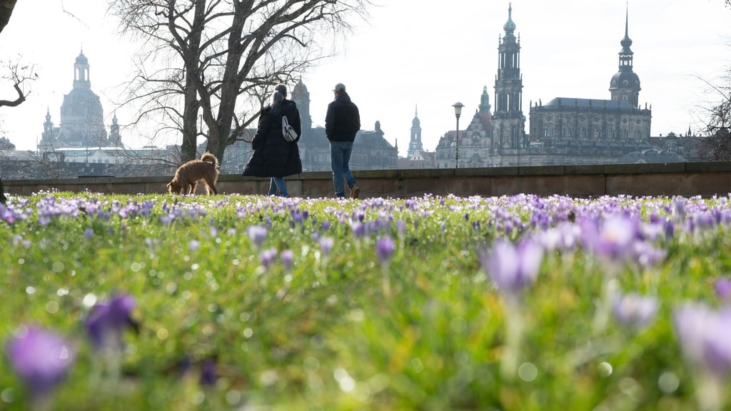 Frühlingshaftes Wetter kündigt sich schon vor dem meteorologischen Frühlingsbeginn am 1. März an.