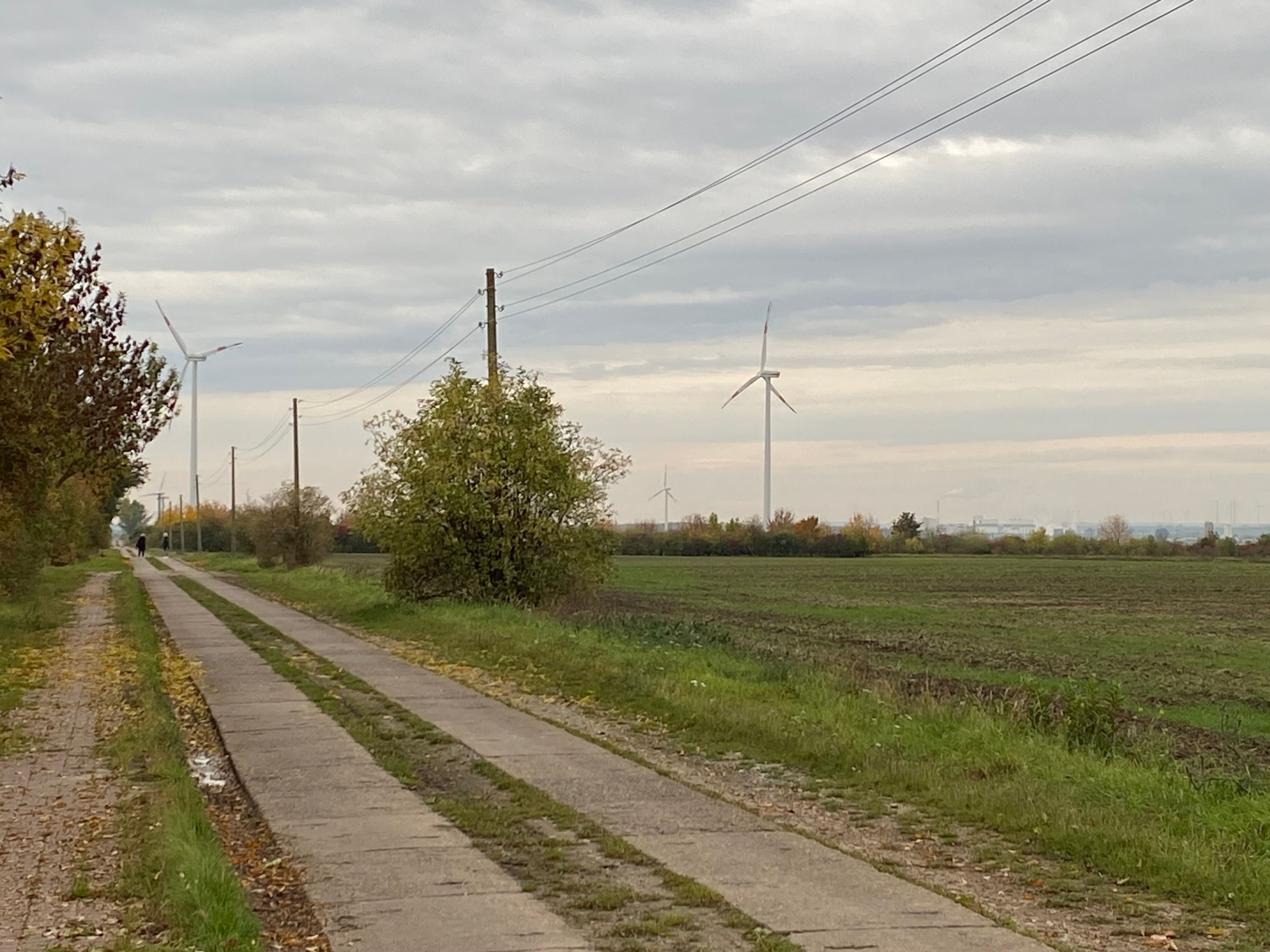 Sicherstellungspraxen: Atzendorf sucht Alternativen für Hausarzt-Kita