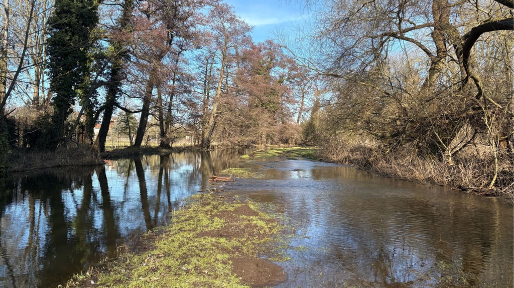 Die Ihle ist in Burg in einigen Bereich über das Ufer getreten. 