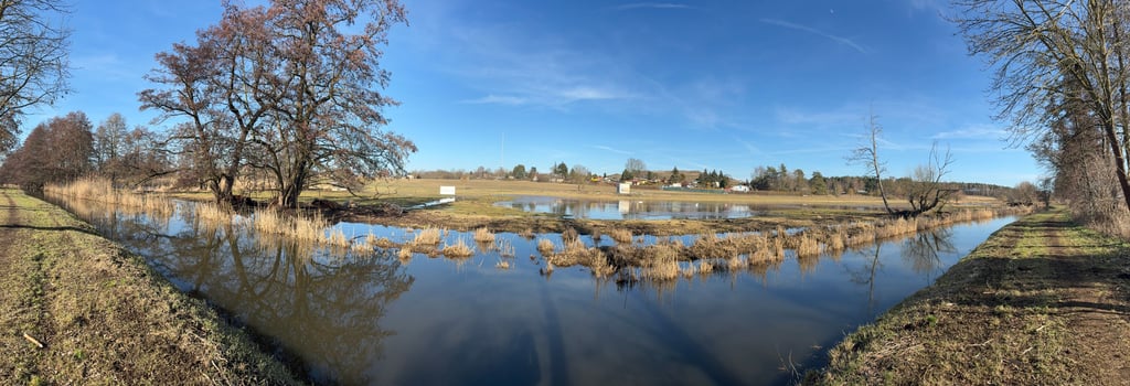 In Höhe der Kolkwiesen ist die Ihle in Burg über das Ufer getreten.