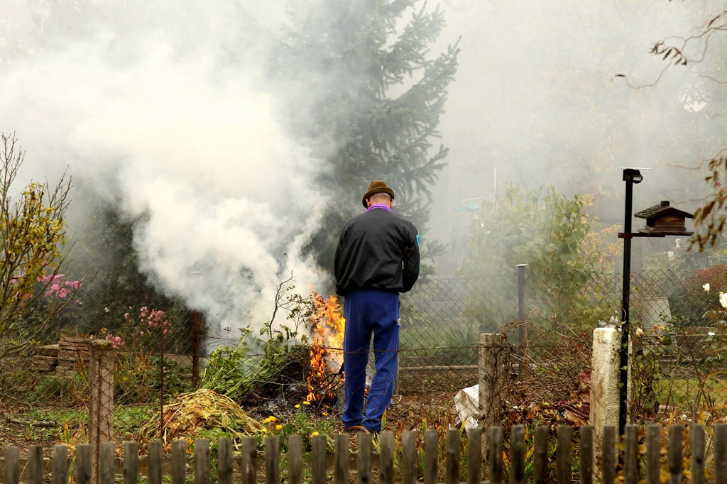 In manchen Landkreisen Sachsen-Anhalts ist das Verbrennen von Laub und Gartenabfällen erlaubt – und in manchen nicht.