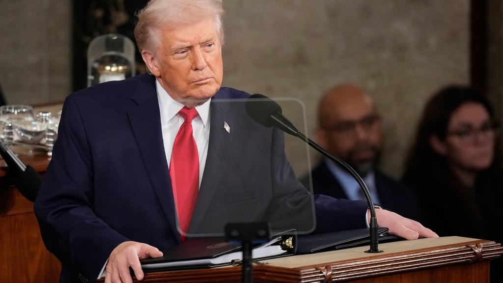 Trump macht die Demokraten für die Haushaltsblockade verantwortlich, die das Heimatschutzministerium betrifft.