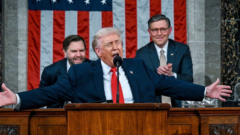 Trump hält Rede zur Lage der Nation vor dem Kongress.