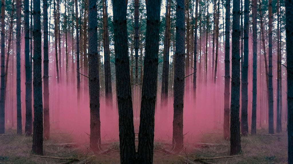 Der "Rosa Riese" hielt sich manchmal tagelang im Wald auf und tötete vor allem Frauen.