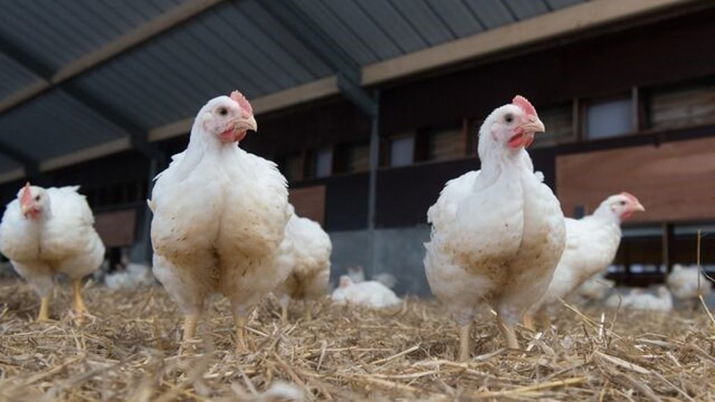 In Großkayna sollen demnächst bis zu 870.000 