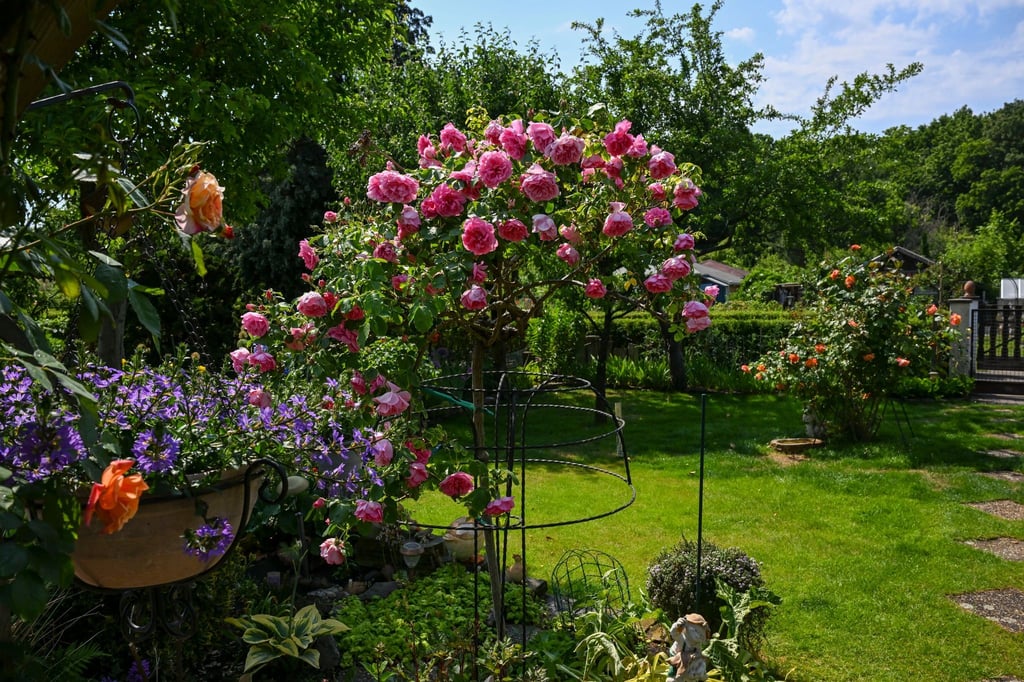 Viele Kleingärten in Berlin sind die reinsten grünen Paradiese. (Archivbild)