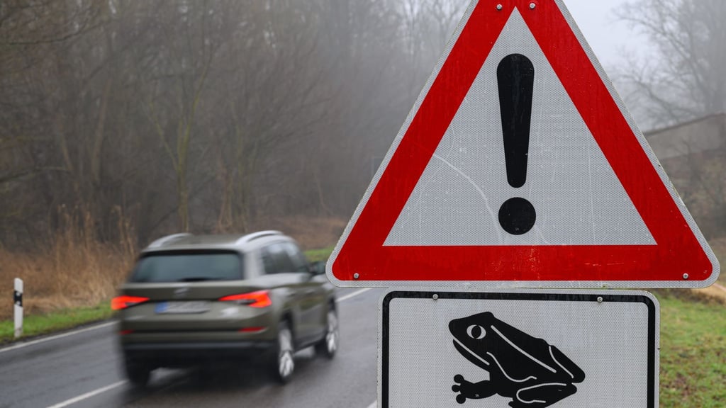 Bei diesem Schild sollten Autofahrer den Fuß vom Gas nehmen. So helfen sie Amphibien, die die Straße überqueren. (Symbolbild)