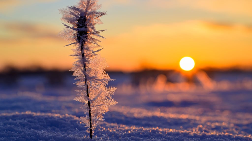 Die Sonne hat deutlich mehr Stunden eingesammelt als im Vergleichszeitraum. (Archivbild)