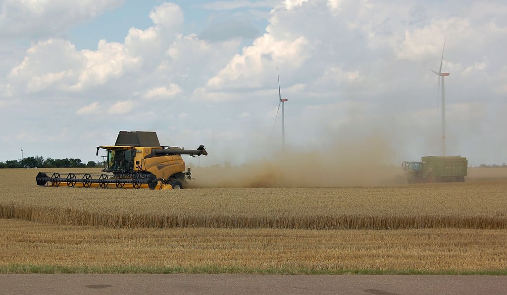 Der Ertrag durch die Getreideernte wie hier auf einem Feld bei Lützen war im vorigen Jahr größtenteils gut im Burgenlandkeis.