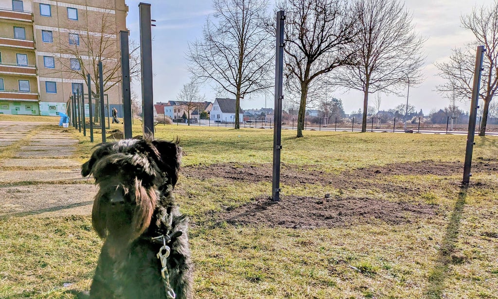 Vierbeiner und ihre Besitzer müssen sich wohl nur noch wenige Tage gedulden, bis die umzäunte Hundewiese in der Welsleber Straße in Schönebeck fertiggestellt ist. 