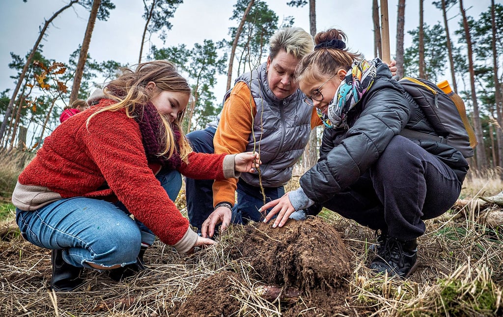 Bei einer Baumpflanzaktion im November 2021 in einem Waldgebiet  am Campingplatz Dannigkow wurden 1.500 Baumsetzlinge von über 400 Kindern und Erwachsenen in den Boden gebracht. Die Aktion kann im Nachhinein als gescheitert betrachtet werden. Auch hier wurde wie im Kinderwald Möckern nicht gewässert – nahezu kein Setzling wuchs an.  