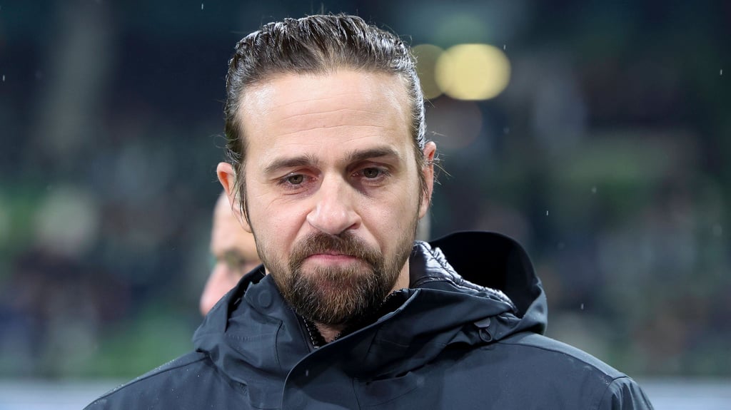 Ex-HSV-Profi und Baumgartner-Landsmann Martin Harnik