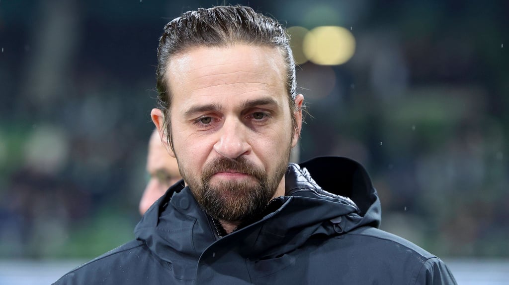 Ex-HSV-Profi und Baumgartner-Landsmann Martin Harnik