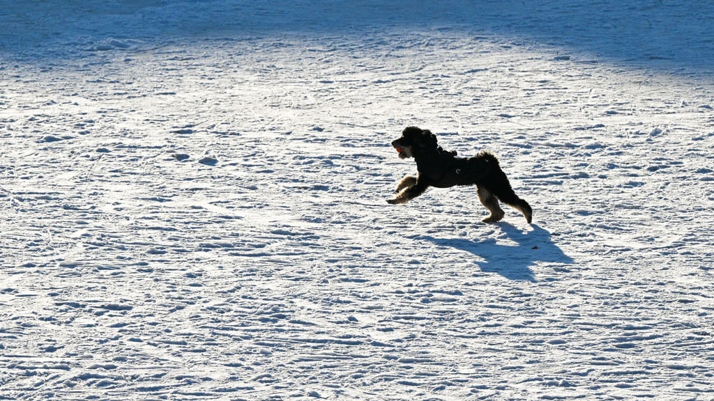 Zahlreiche Gewässer in Berlin waren tagelang zugefroren. (Archivbild)
