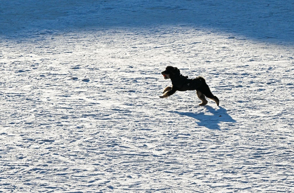 Zahlreiche Gewässer in Berlin waren tagelang zugefroren. (Archivbild)
