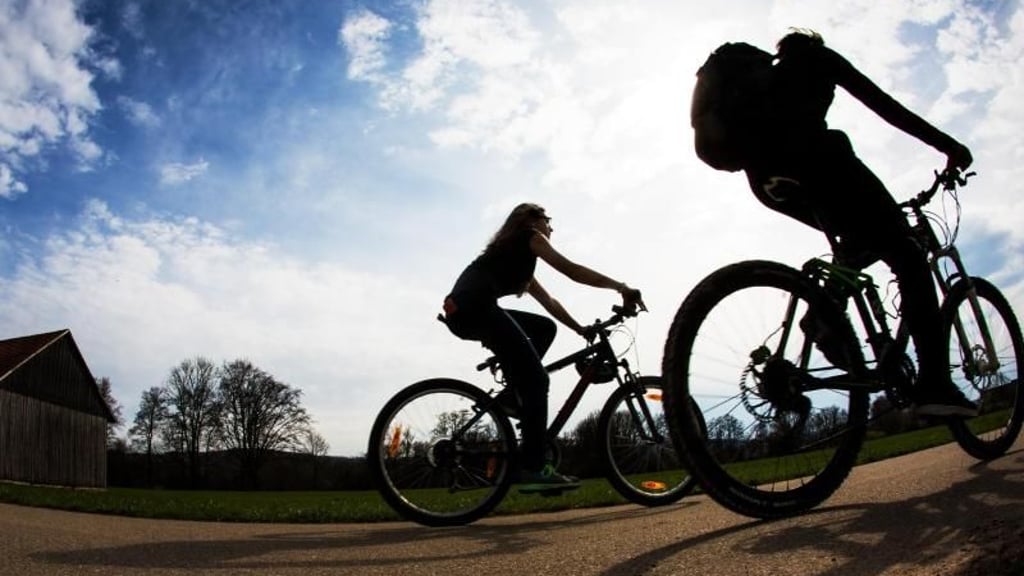 Radfreunde haben Grund zum Jubeln: Der Stadtrat hat den Ausbau des Radweges zwischen Halberstadt und Langenstein beschlossen.