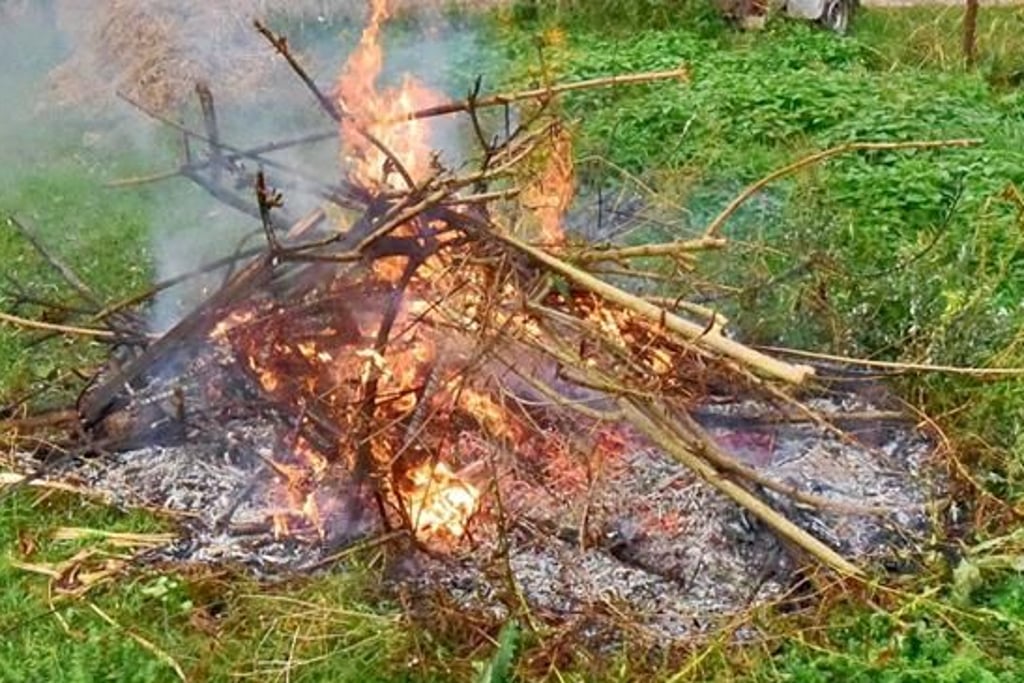 Im Burgenlandkreis dürfen im März in vielen Orten wieder Gartenabfälle verbrannt werden. Dazu gelten aber strenge Regeln.