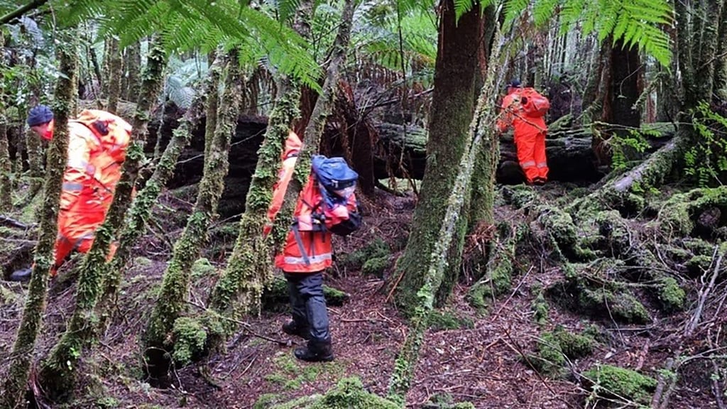 Einsatzkräfte suchten 2023 die dichten Wälder Tasmaniens nach der 31-Jährigen ab. (Archivbild)