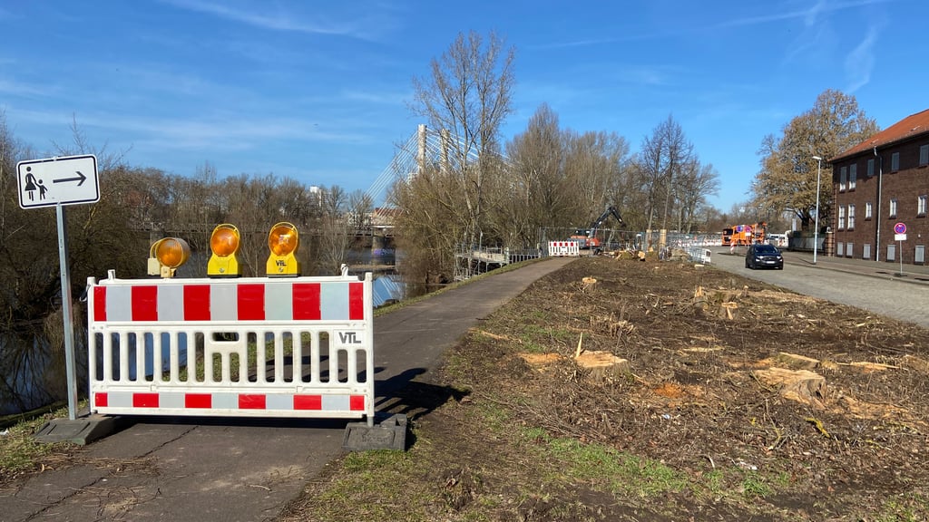 Auf der Rasenfläche neben dem Deich an der Gemeinschaftsschule „Thomas Mann“ sind die jüngst gefällten Bäume deutlich zu erkennen.