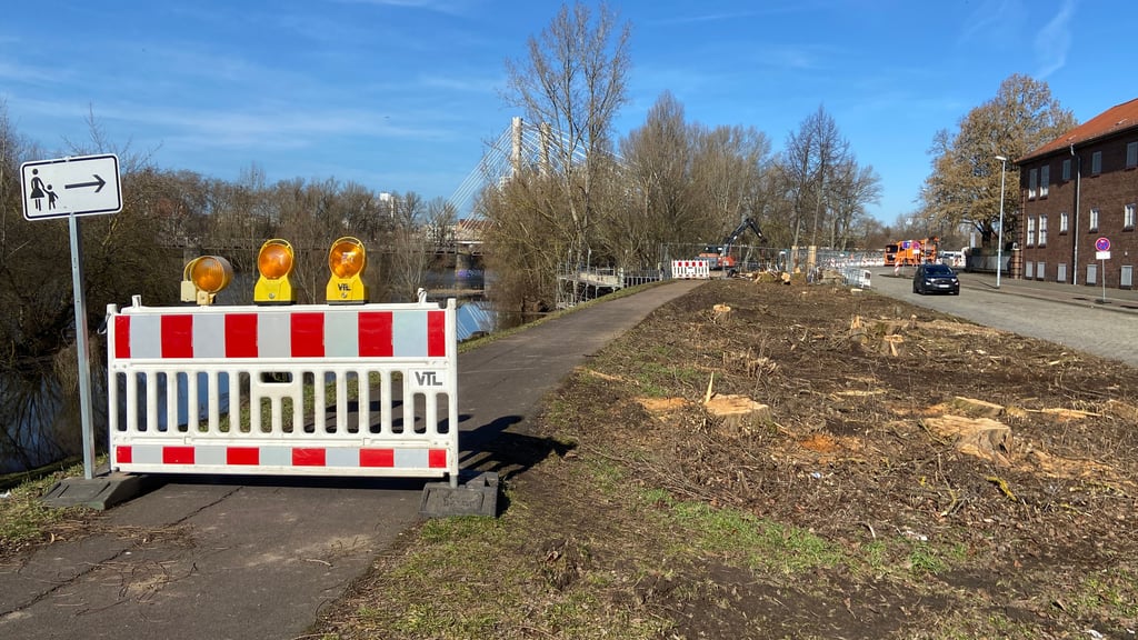 Auf der Rasenfläche neben dem Deich an der Gemeinschaftsschule „Thomas Mann“ in Magdeburg sind die jüngst gefällten Bäume deutlich zu erkennen.