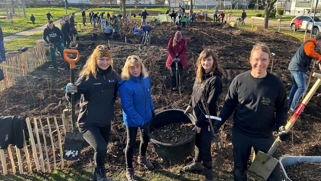 In Magdeburg-Olvenstedt können verschiedene Projekte durch Mittel eines Fonds finanziert werden. Ein gutes Beispiel für Projekte im Stadtteil sei laut Stadtteilmanager Stefan Köder der Tiny Forest, der Ende 2024 gepflanzt wurde. 