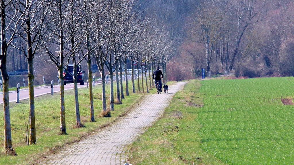 Der Radweg zwischen Schwarz und Tippelskirchen soll erneuert werden. Das plant die Stadt. 