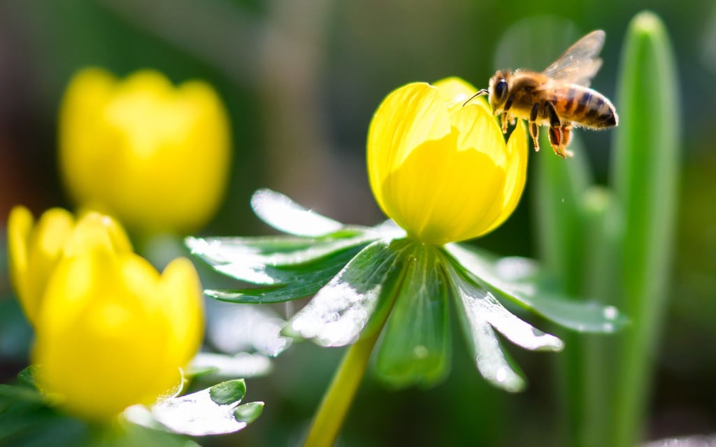Das warme und sonnige Wetter löst Frühlingsgefühle aus.