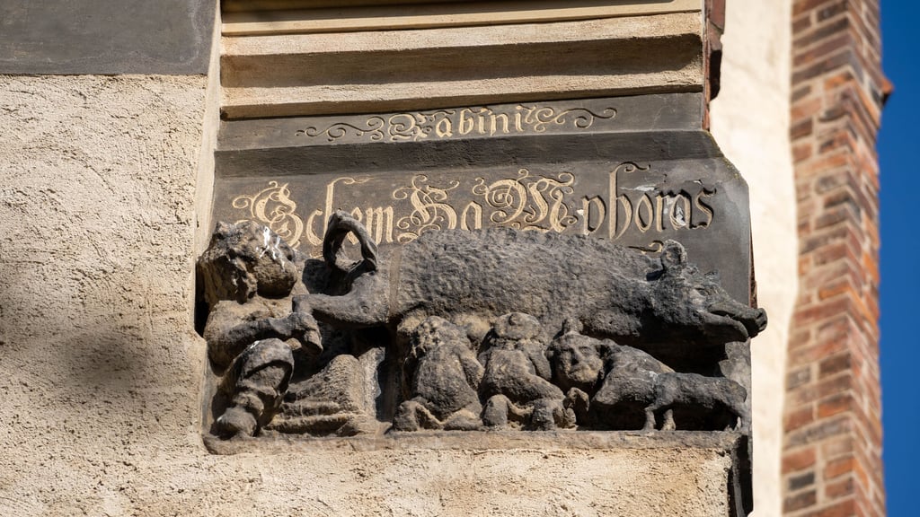 Die „Judensau“ an der Stadtkirche in Wittenberg ist seit Jahren Gegenstand juristischer und gesellschaftlicher Debatten.