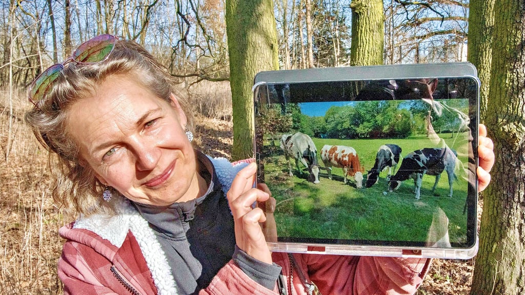 Mandy Kraatz ist glücklich in ihrer neuen Heimat Kemberg. Doch ihre vier Rinder will sie unbedingt mitnehmen. Wo gibt es Platz für sie?