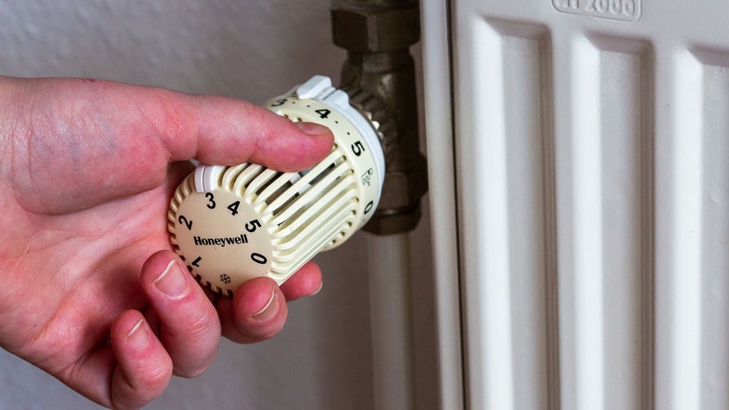 Hat die Landesregierung einen Hebel in der Hand, wenn Mietern unverschuldet die Heizung abgedreht wird? (Symbolbild)