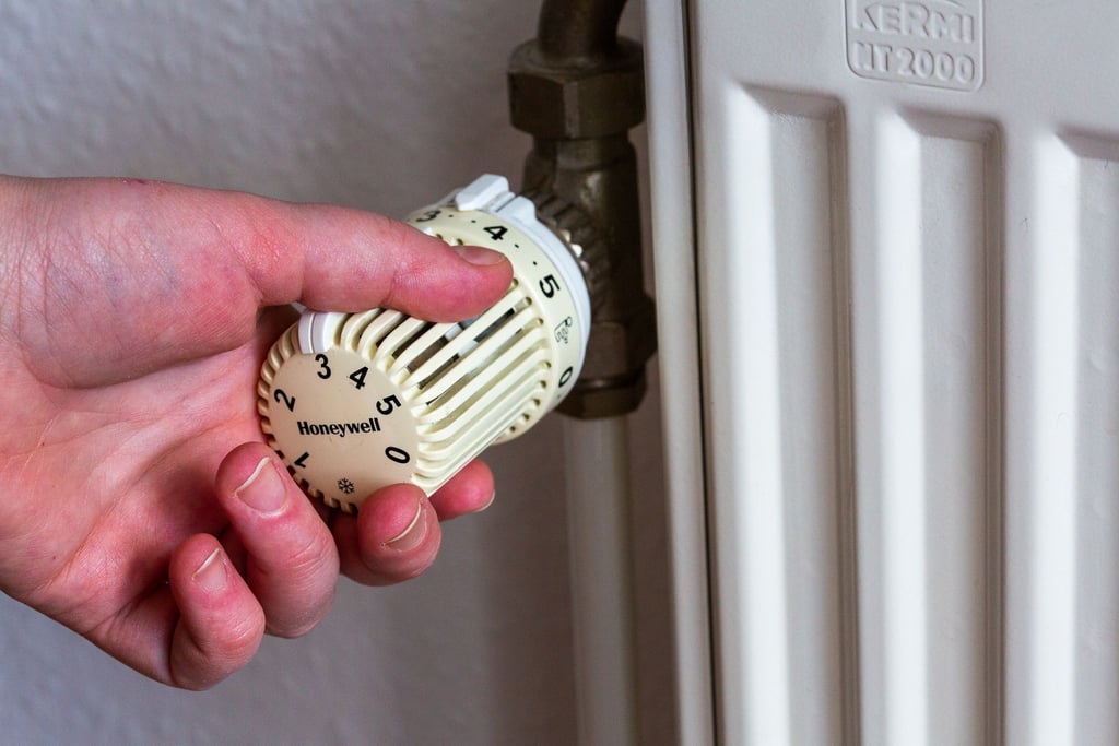 Hat die Landesregierung einen Hebel in der Hand, wenn Mietern unverschuldet die Heizung abgedreht wird? (Symbolbild)