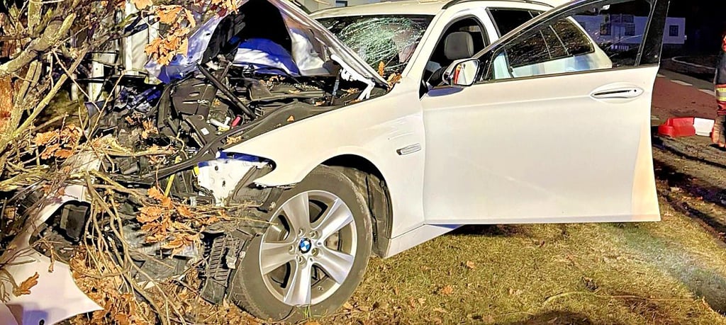 In der Magdeburger Straße in Roßlau ist in der Nacht zum Sonntag, 1. März, ein BMW-Fahrer gegen einen Baum gekracht. 