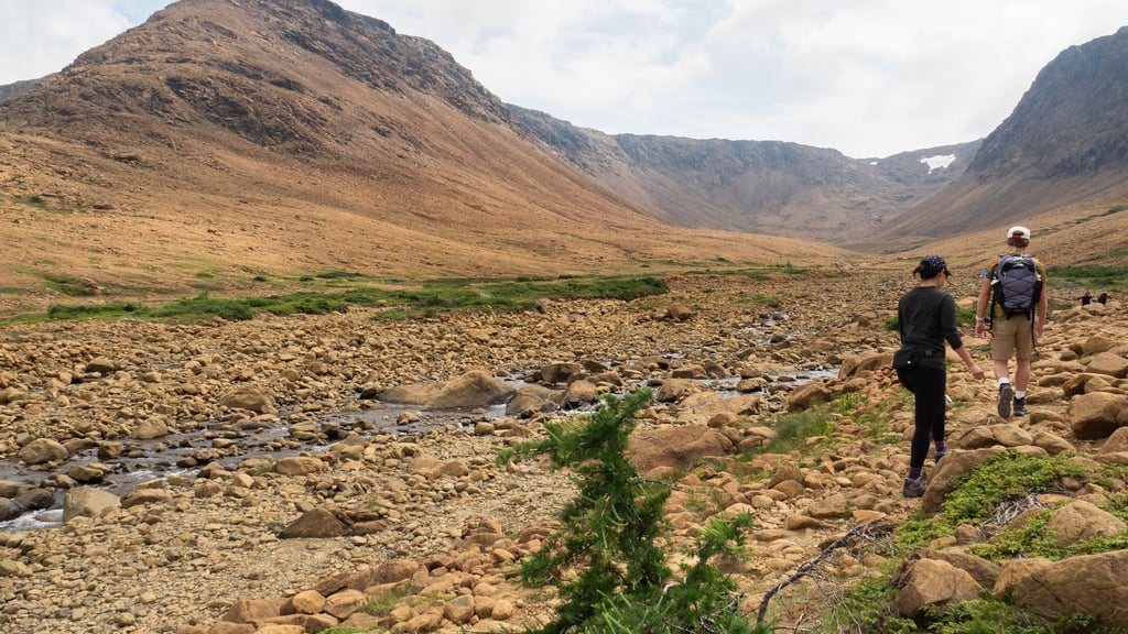 Von wegen nur Steine: In den Tablelands teilt sich die Landschaft eindrucksvoll mit.
