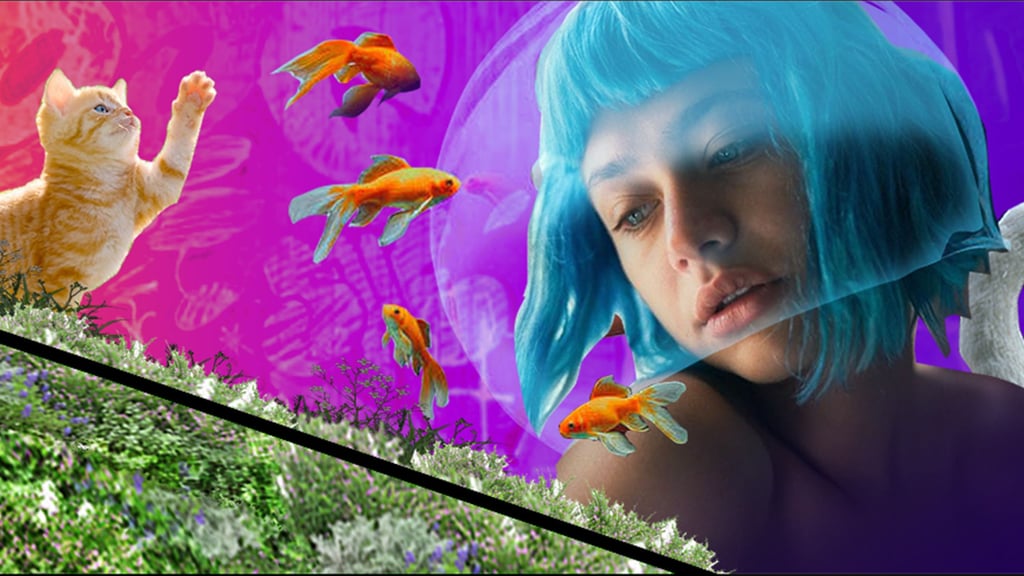 Fassadenkunst an der Lübecker Straße in Magdeburg. Dieses und andere Wandbilder in Magdeburg sollen in die „Urban Art Galerie“ aufgenommen werden.