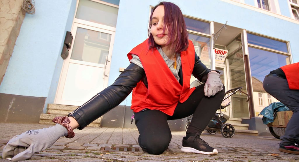 Glasscherben, Papier, Plastik und Kippen sammelt hier Kati Steinmeyer aus den Fugen in der Loewestraße von Calbe. 