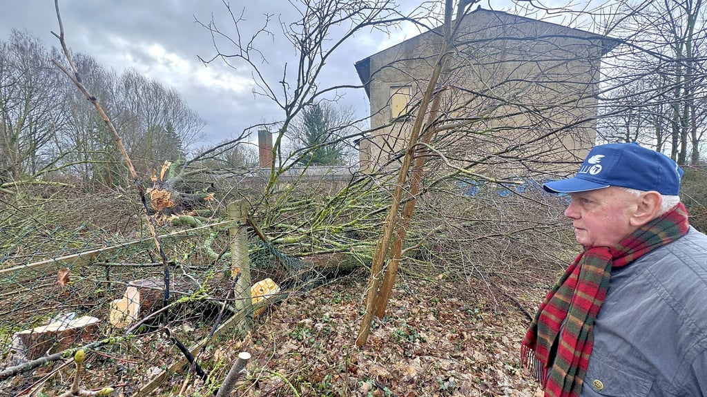 Betroffen betrachtet Christoph Kaatz die Fällungen auf dem Schulgelände am Loburger Triftweg.