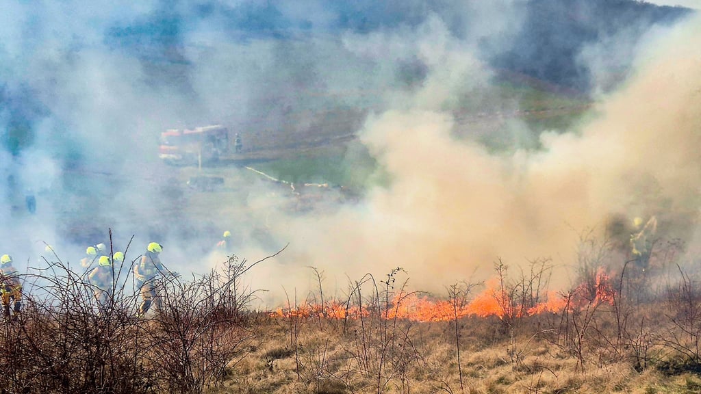 Alles unter Kontrolle: Die Taskforce Waldbrand der Feuerwehren der Stadt Thale hat eine Realbrandausbildung bei Neinstedt absolviert.