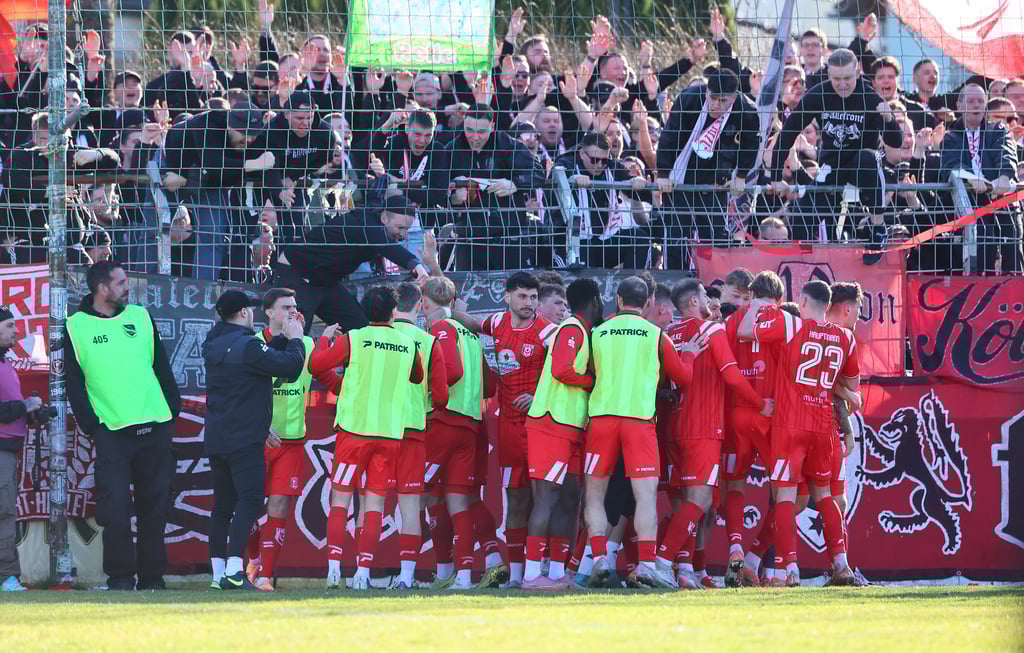 Halle feiert den Treffer gegen Chemie.