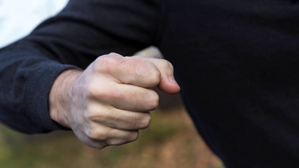 In Wetzendorf ist am Montag ein Streit eskaliert. Ein 38-Jähriger schlug einen anderen Mann mit der Faust und leistete später Widerstand gegen Polizeibeamte. 