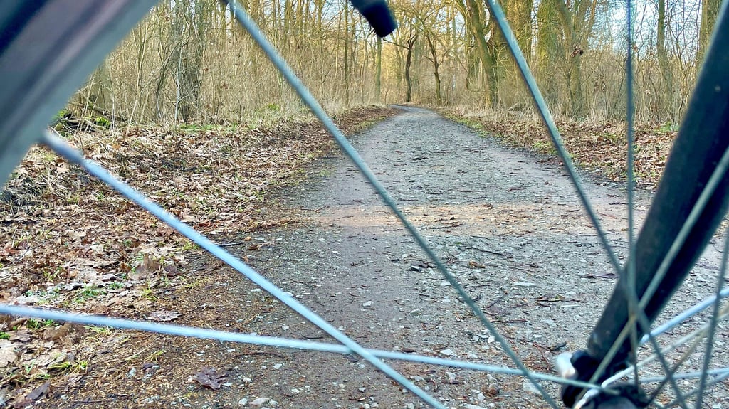 Stimmt der Kreistag in seiner Sitzung am 18. März zu, verpflichtet sich der Salzlandkreis zum Bau des Rad- und Fußweges zwischen Grünewalde und Elbenau. Dann soll die Verbindung spätestens am 31. Dezember 2030 fertig gebaut sein. 