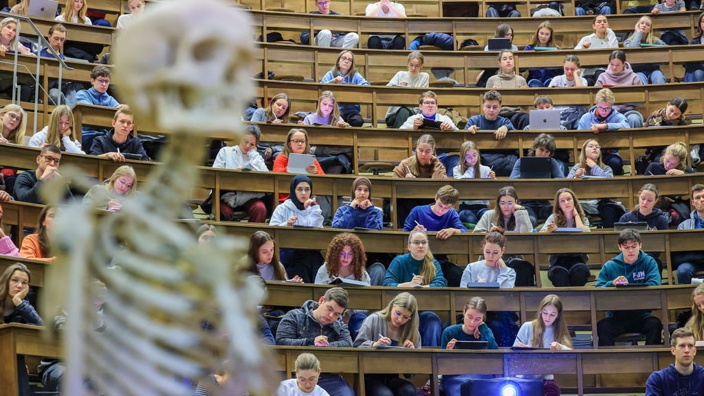17 Medizin- und vier Zahnmedizinstudienplätze an der Universität Jena werden ab Herbst für eine Landarztquote reserviert. (Symbolbild)