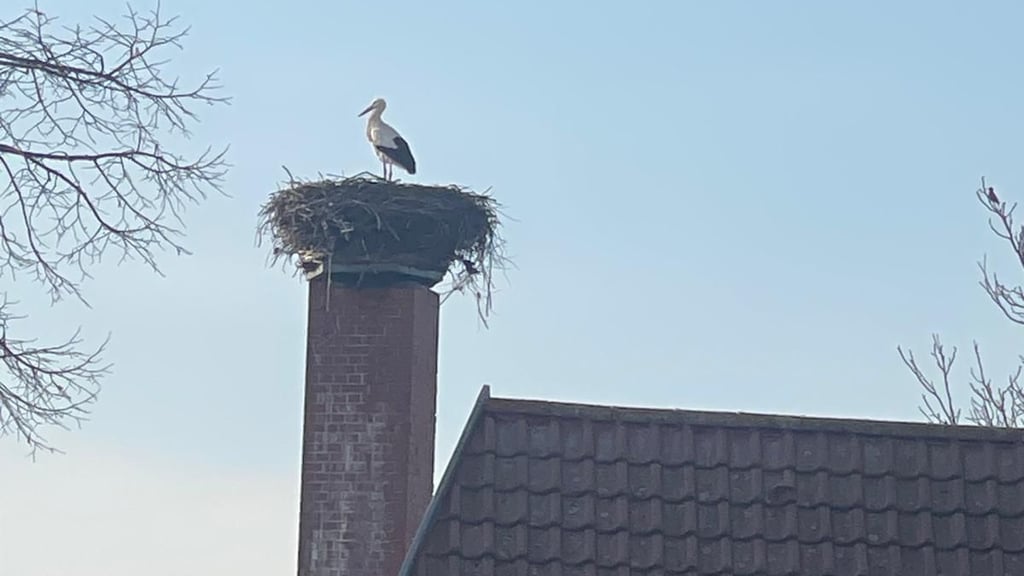 Letztes Jahr kam der Storch am 24. Februar zurück nach Parey.