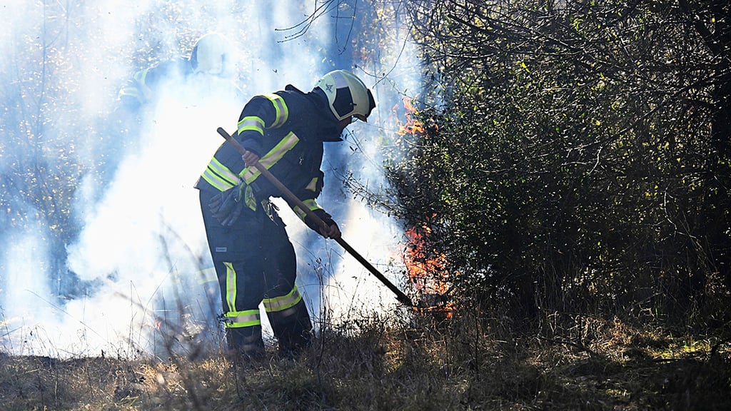 Montagmittag ist es an der Ascherslebener Körtestraße zu einem Vegetationsbrand gekommen.